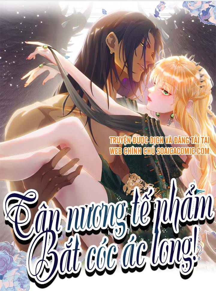 Tân Nương Tế Phẩm Bắt Cóc Ác Long