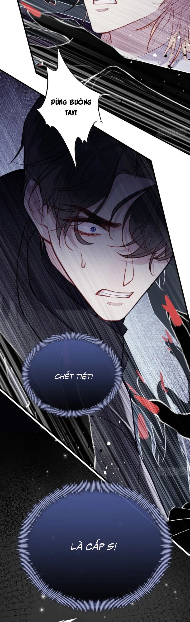 Anh Ấy Chưa Từng Rơi Xuống Chap 111 - Next Chap 112