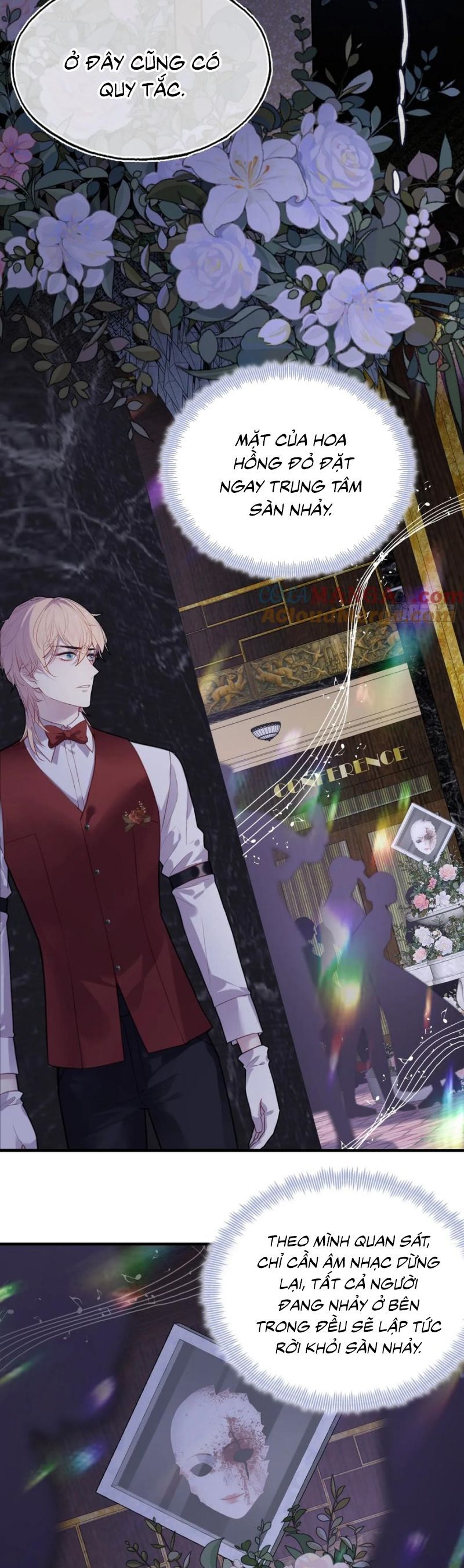 Anh Ấy Chưa Từng Rơi Xuống Chap 115 - Next Chap 116