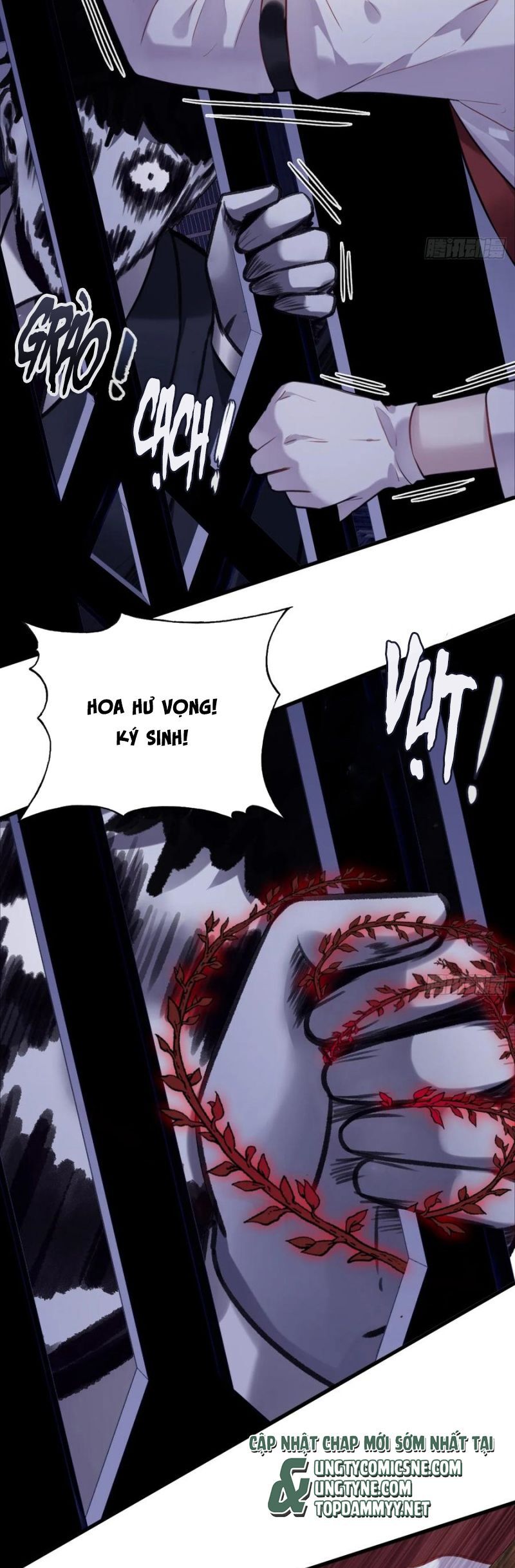 Anh Ấy Chưa Từng Rơi Xuống Chap 117 - Next Chap 118