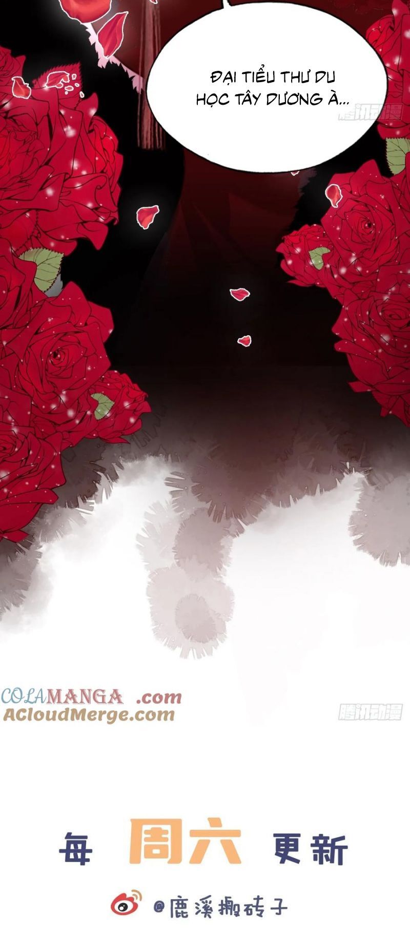 Anh Ấy Chưa Từng Rơi Xuống Chap 118 - Next Chap 119