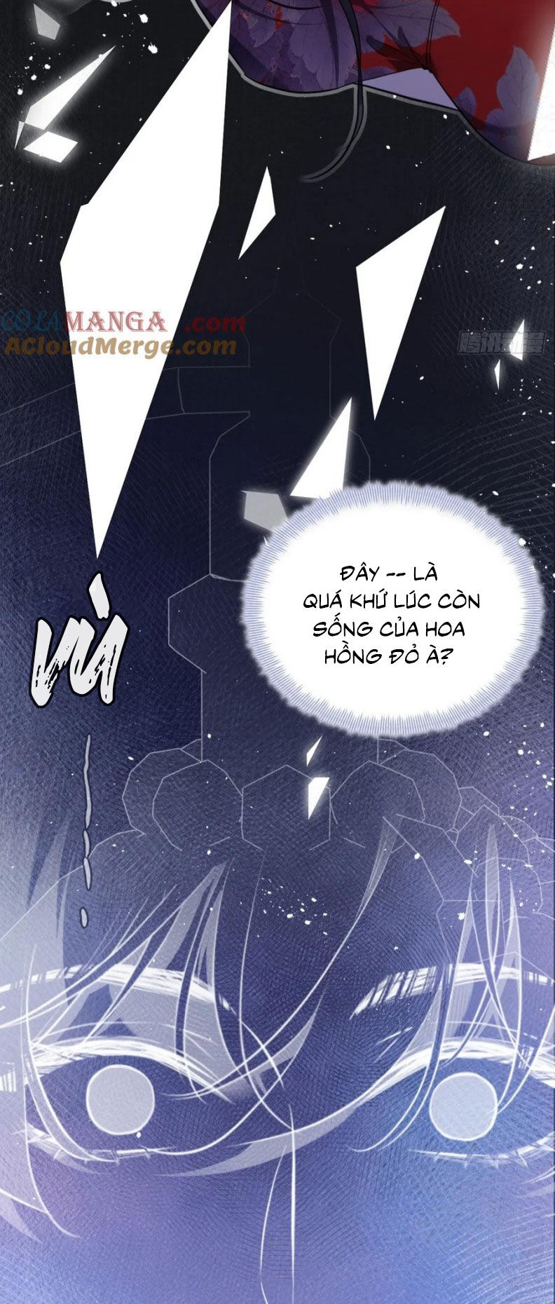 Anh Ấy Chưa Từng Rơi Xuống Chap 119 - Next Chap 120