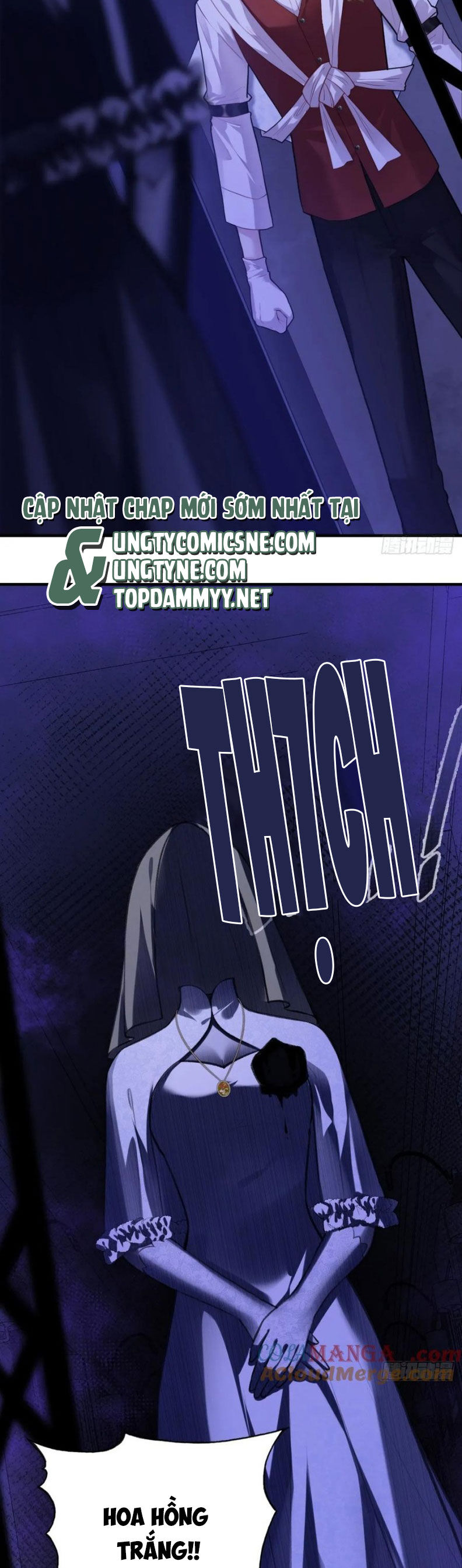 Anh Ấy Chưa Từng Rơi Xuống Chap 121 - Next Chap 122