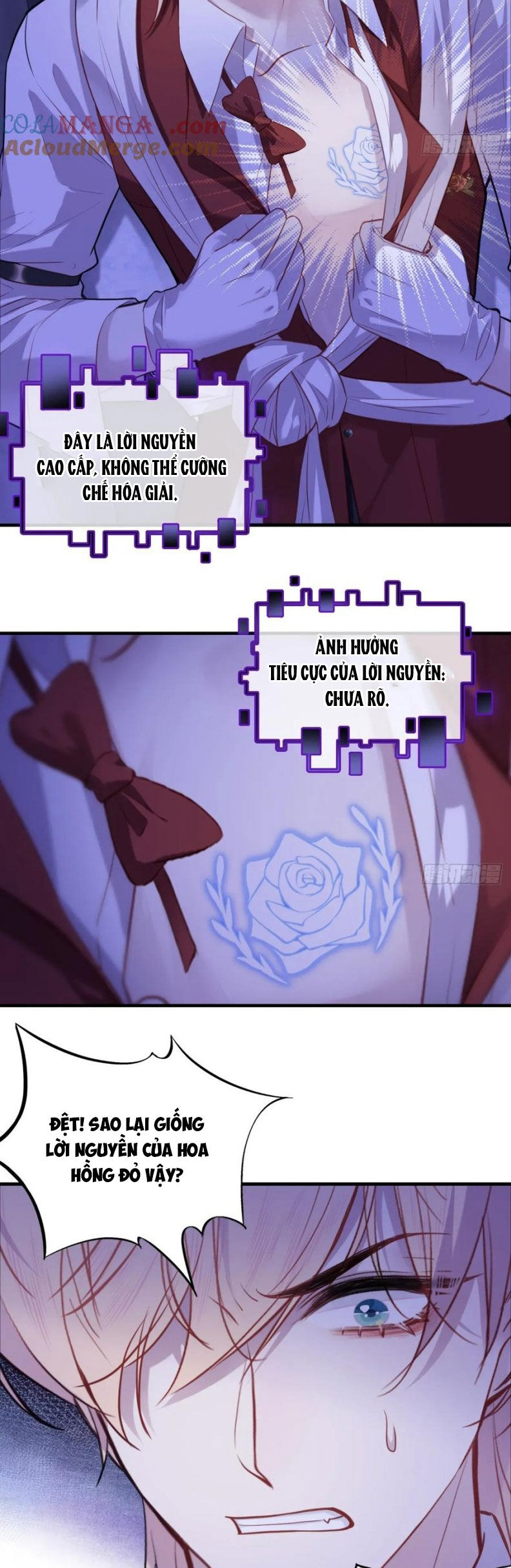 Anh Ấy Chưa Từng Rơi Xuống Chap 121 - Next Chap 122