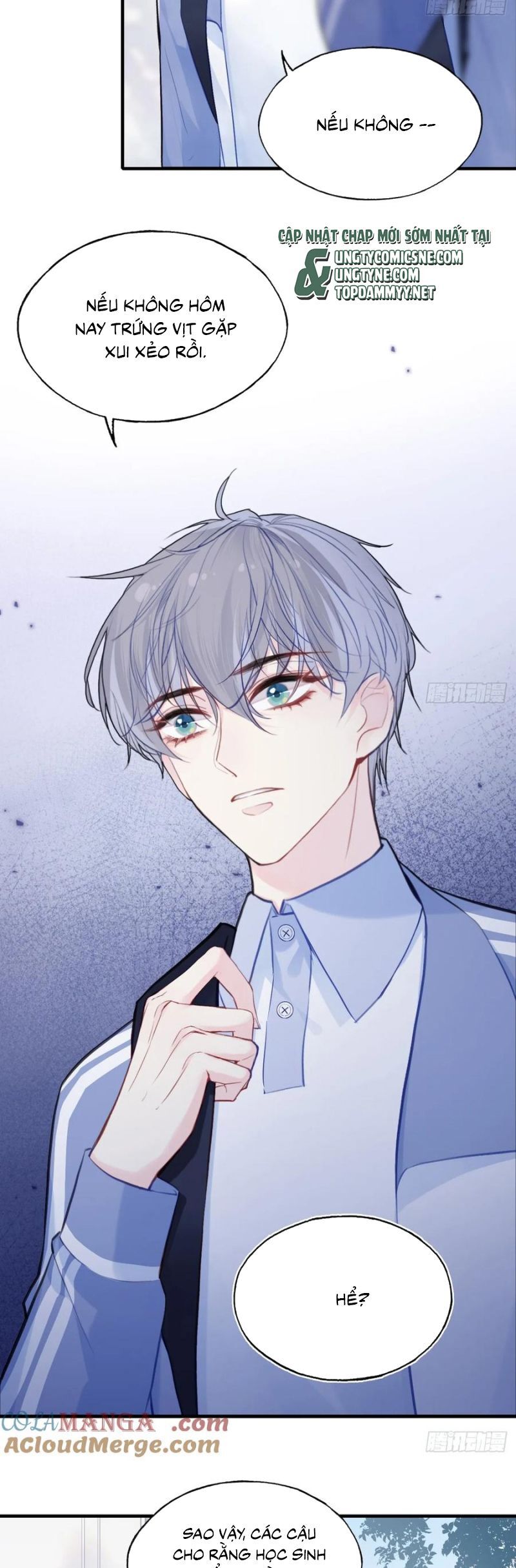 Anh Ấy Chưa Từng Rơi Xuống Chap 126 - Next Chap 127