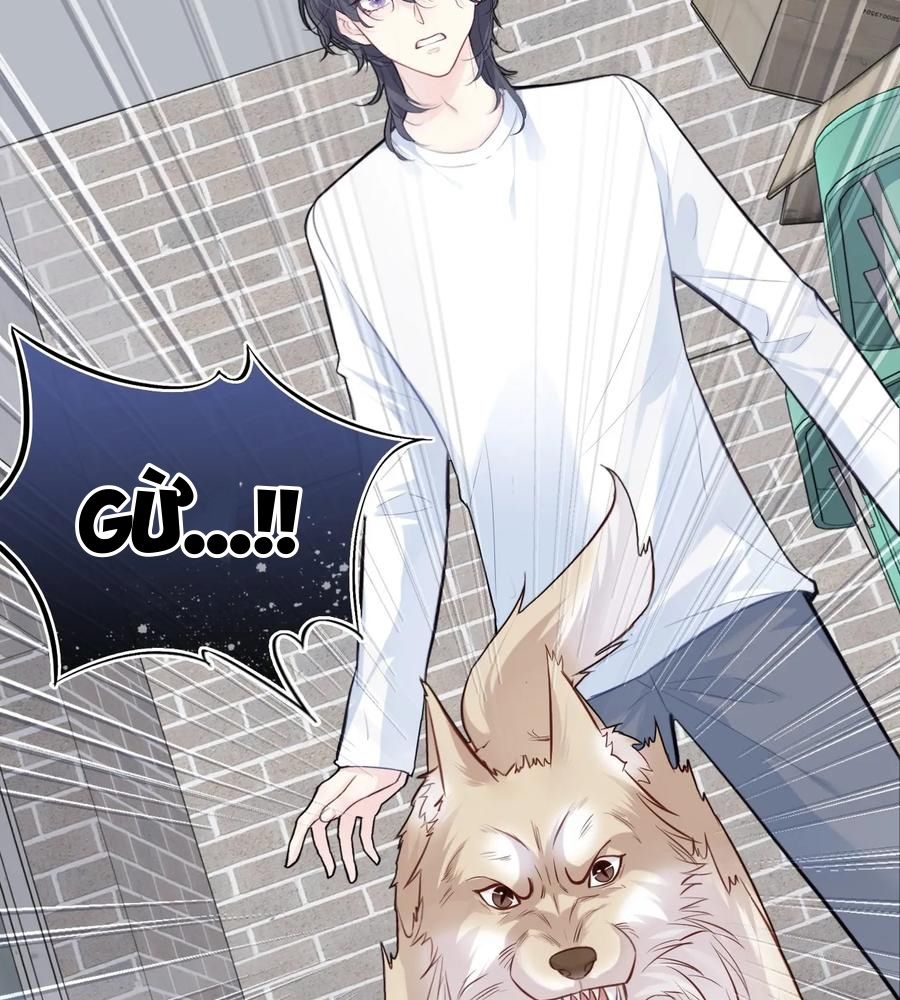 Anh ấy chưa từng sa ngã Chap 78 - Next Chap 79