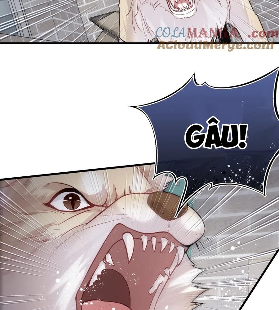 Anh ấy chưa từng sa ngã Chap 78 - Next Chap 79