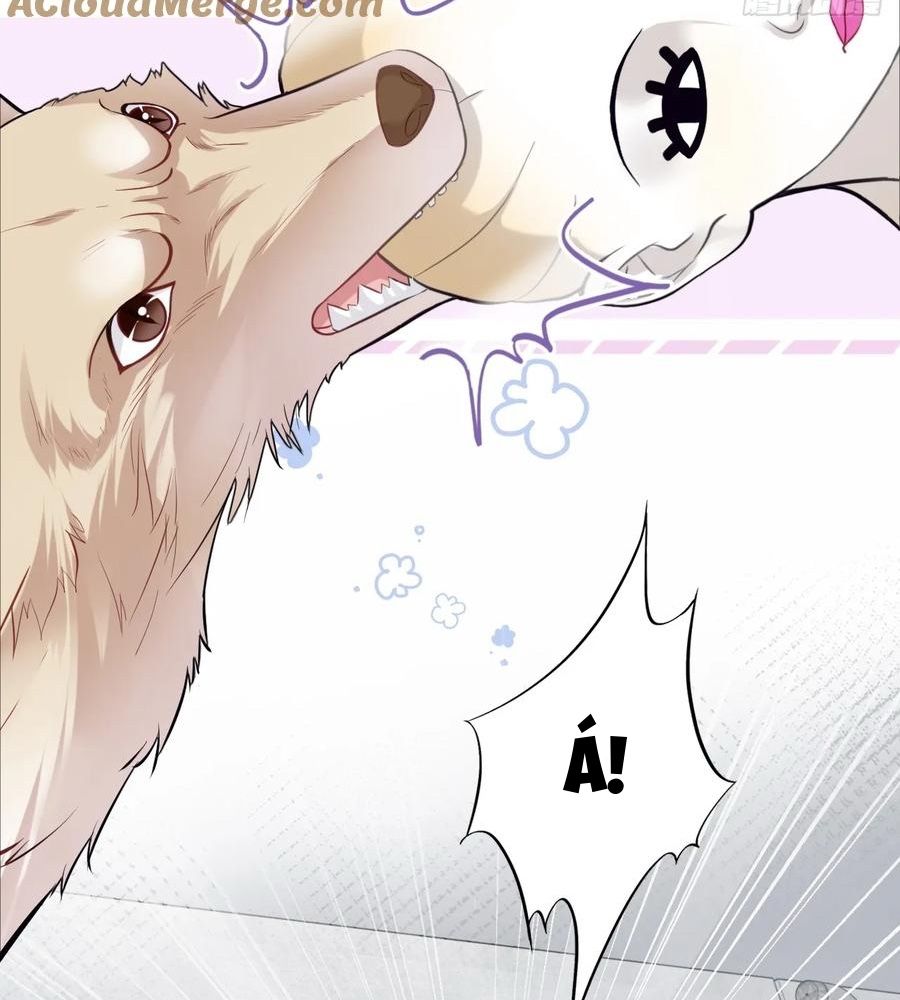 Anh ấy chưa từng sa ngã Chap 78 - Next Chap 79