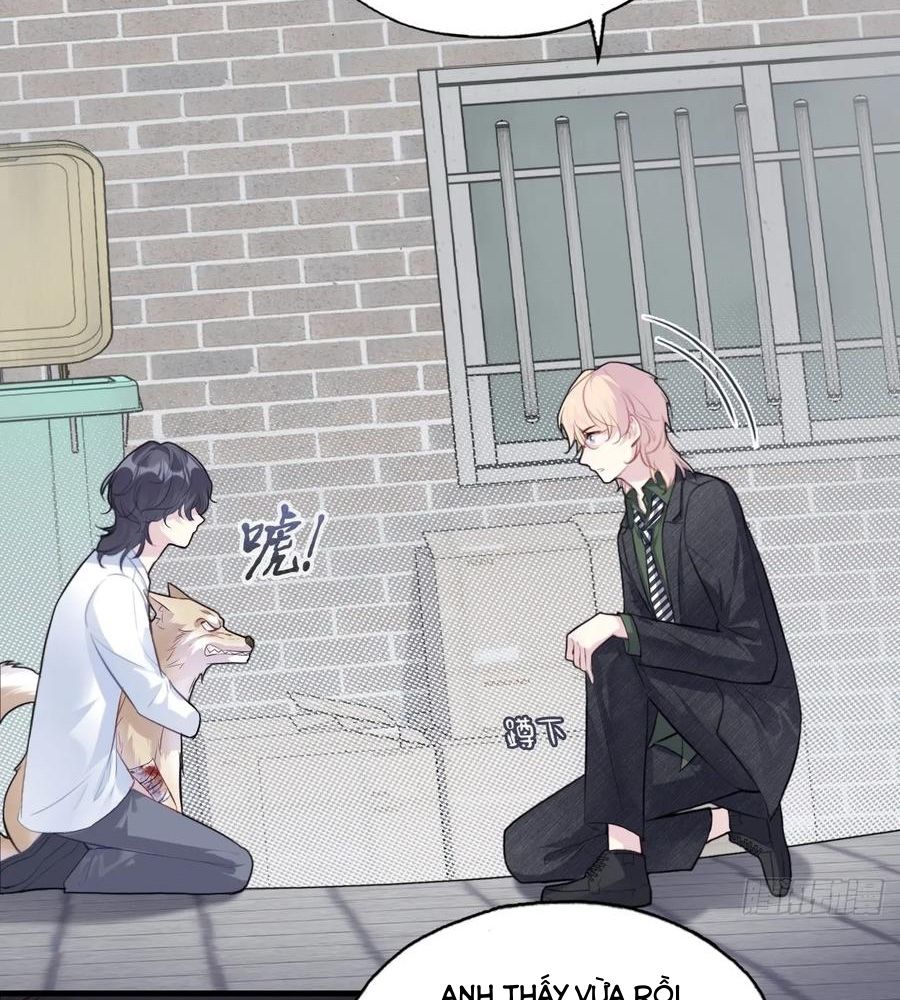 Anh ấy chưa từng sa ngã Chap 78 - Next Chap 79