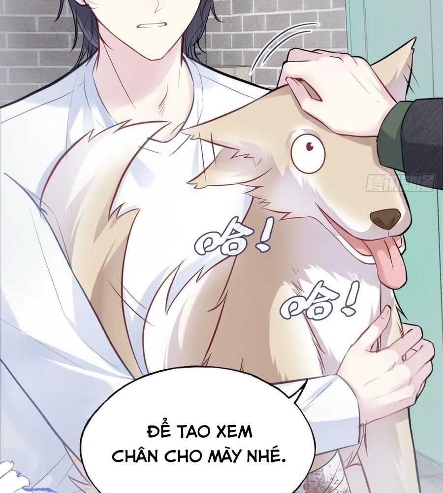 Anh ấy chưa từng sa ngã Chap 78 - Next Chap 79