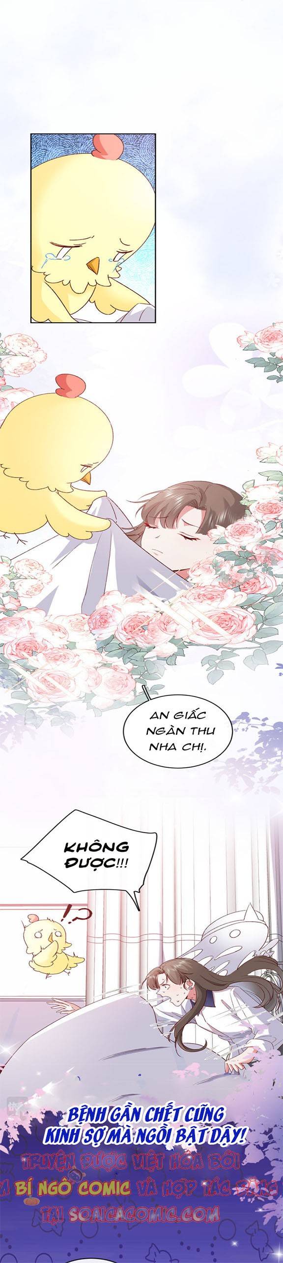 BẠCH TỰ TIỂU THƯ Chap 9 - Next Chap 10