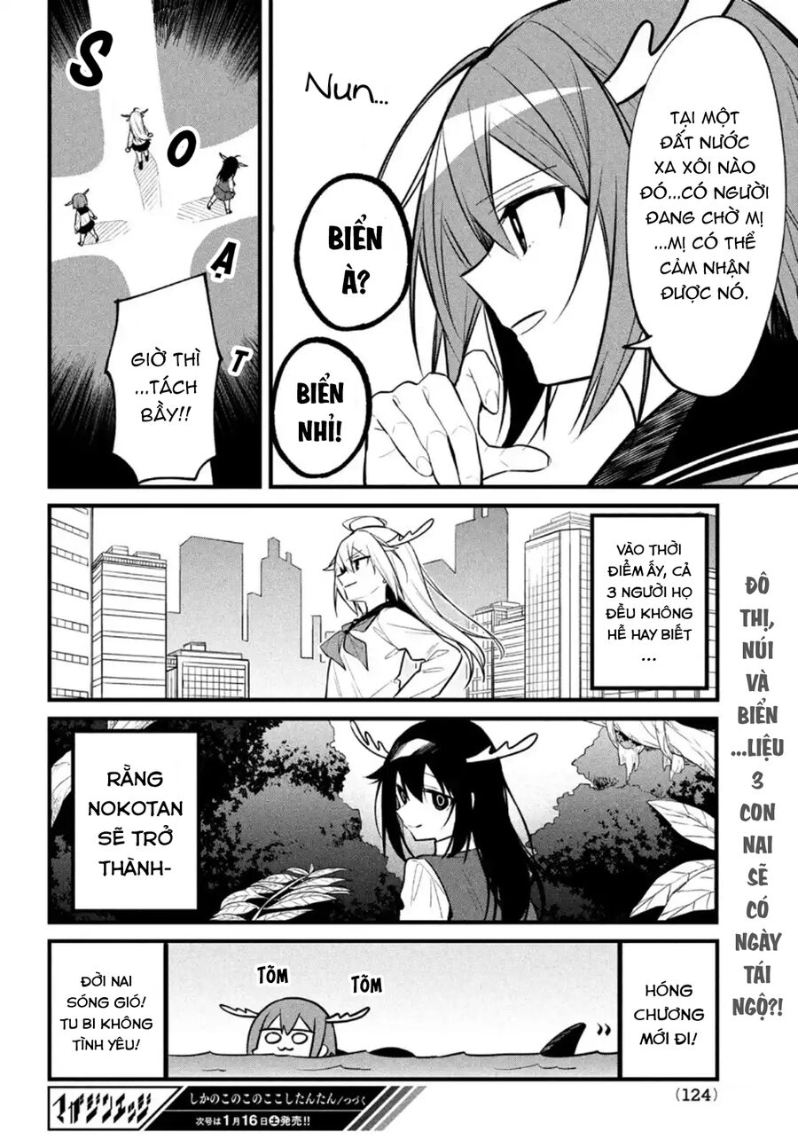 Bạn Nai Nokotan Của Tôi Chap 13 - Next Chap 14