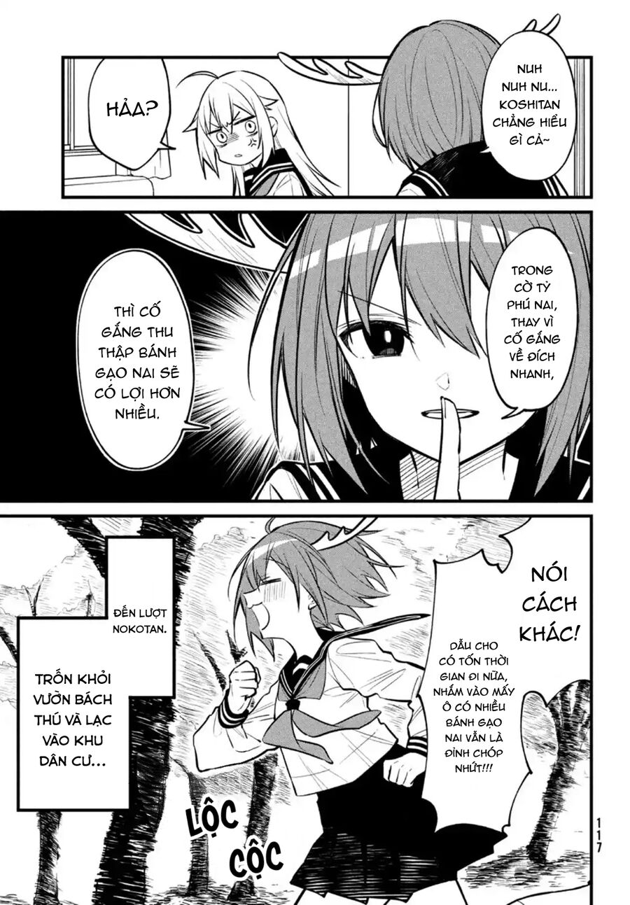 Bạn Nai Nokotan Của Tôi Chap 13 - Next Chap 14
