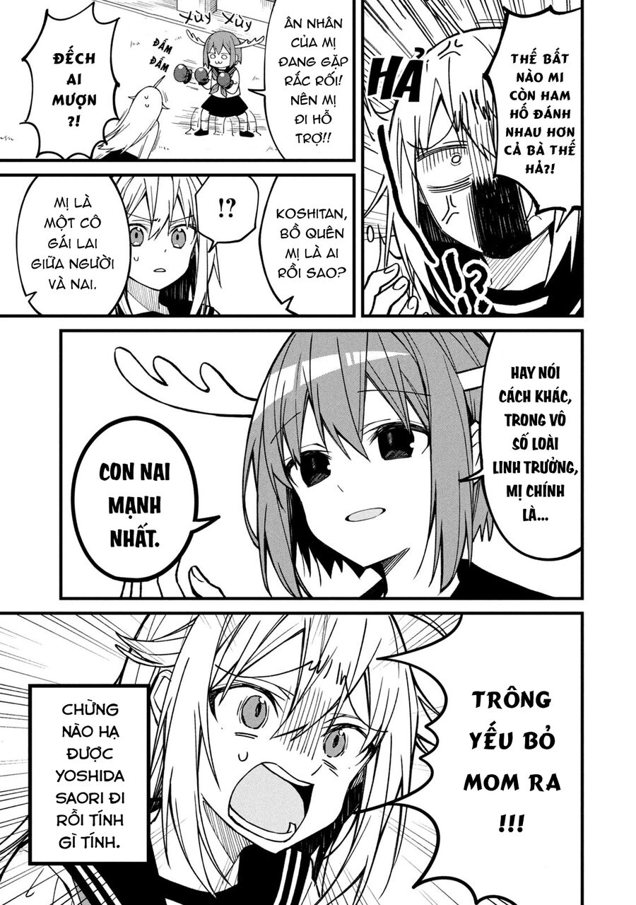 Bạn Nai Nokotan Của Tôi Chap 3 - Next Chap 4