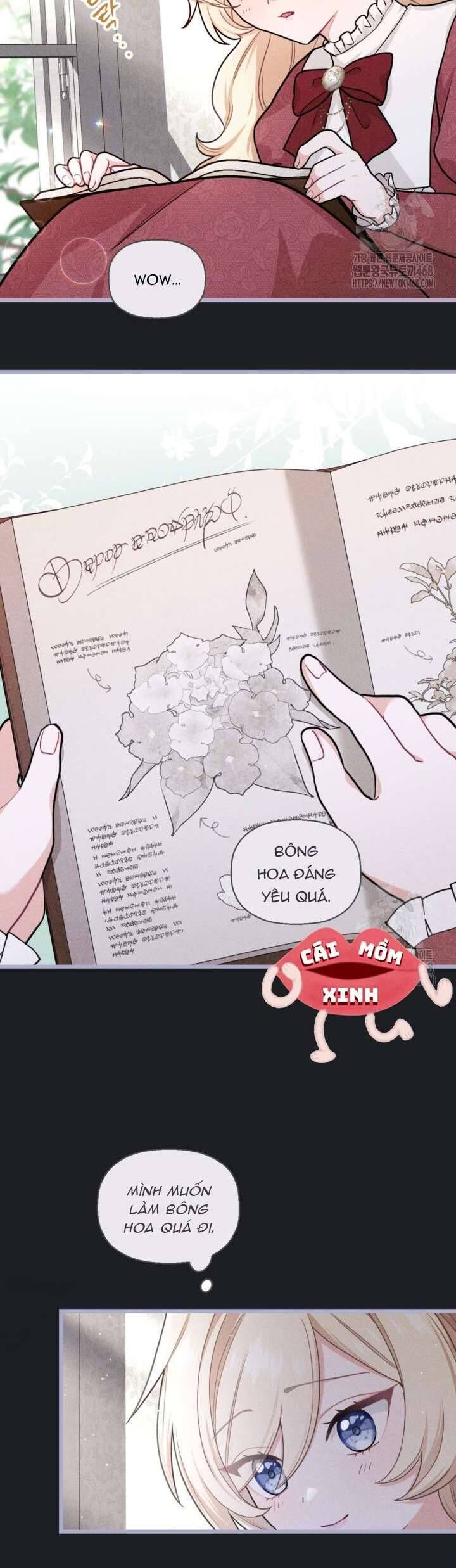 Bệ Hạ, Xin Hãy Quên Tôi Đi Chap 10 - Next Chap 11