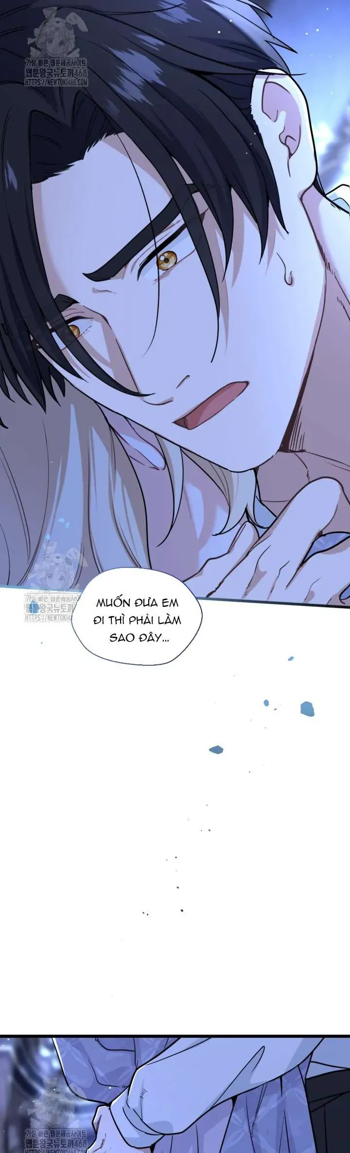 Bệ Hạ, Xin Hãy Quên Tôi Đi Chap 36 - Next Chap 37