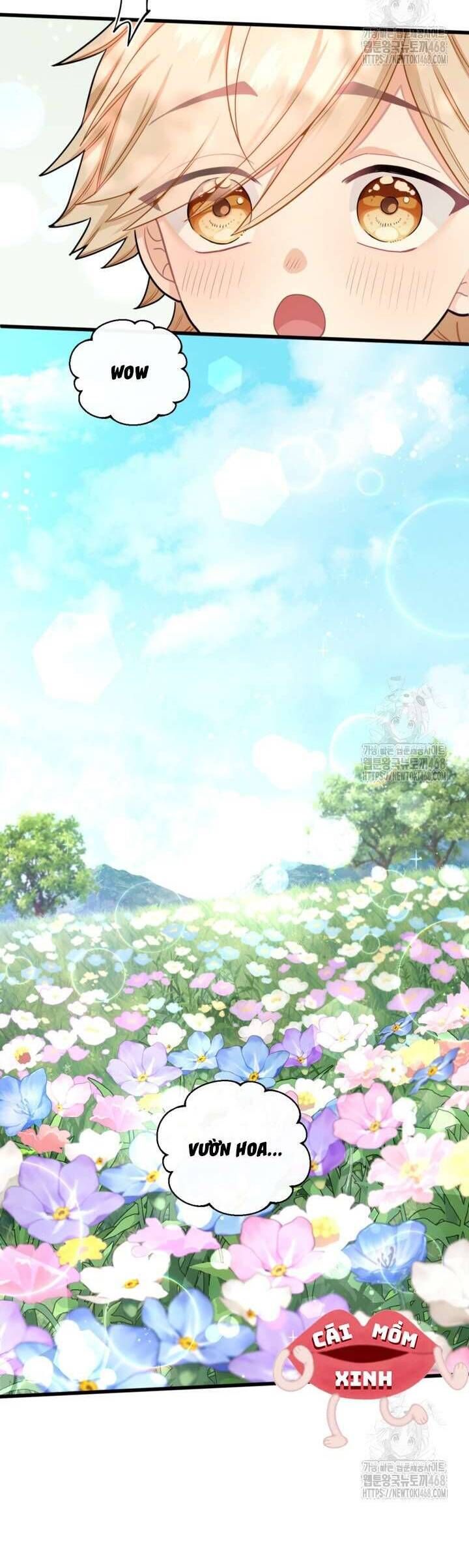 Bệ Hạ, Xin Hãy Quên Tôi Đi Chap 7 - Next Chap 8