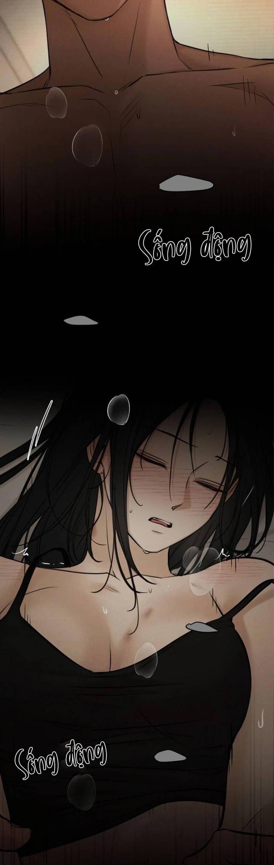 Bình Minh Chap 53 - Next Chap 54