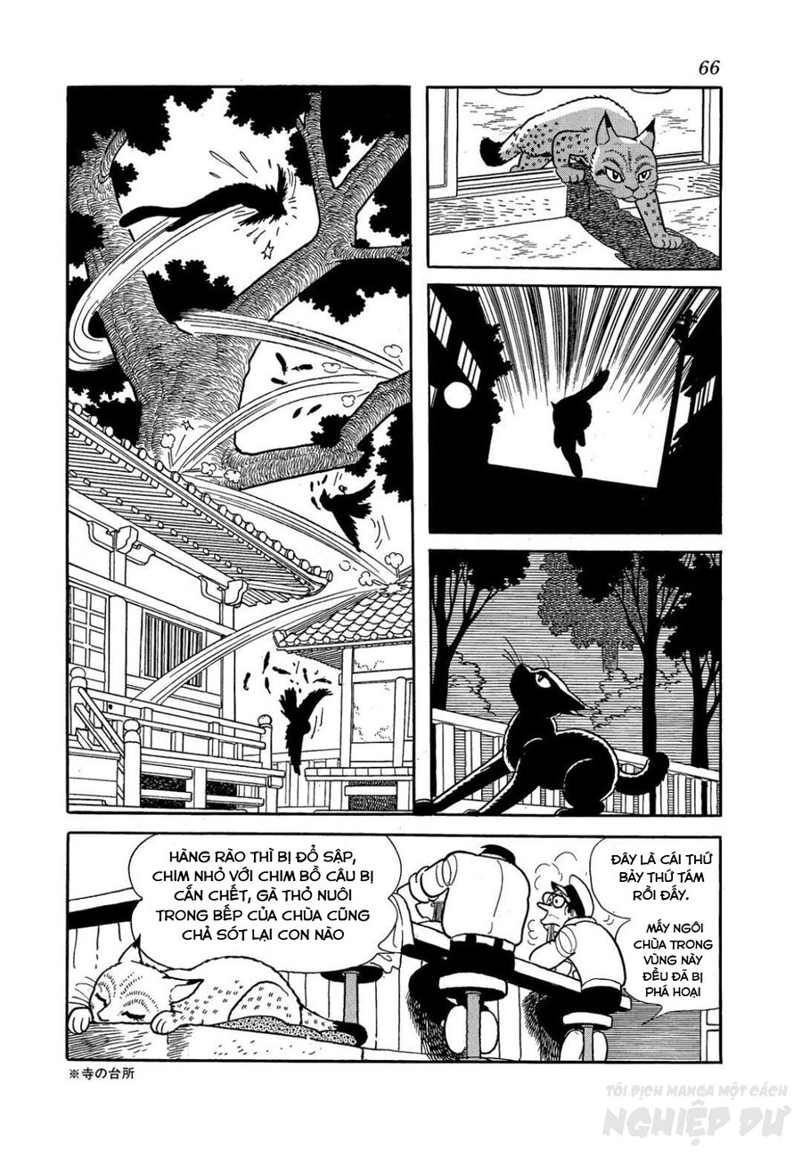 Black Jack Gaiden: Midnight Chap 3 - Next Chap 4