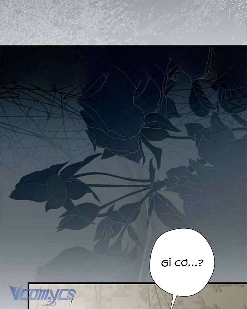 Các Nam Chính Đã Bị Nữ Phụ Cướp Mất Chap 40 - Next Chap 41