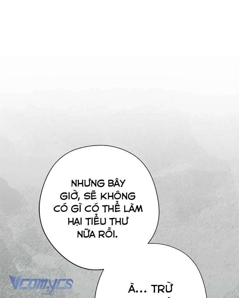 Các Nam Chính Đã Bị Nữ Phụ Cướp Mất Chap 40 - Next Chap 41
