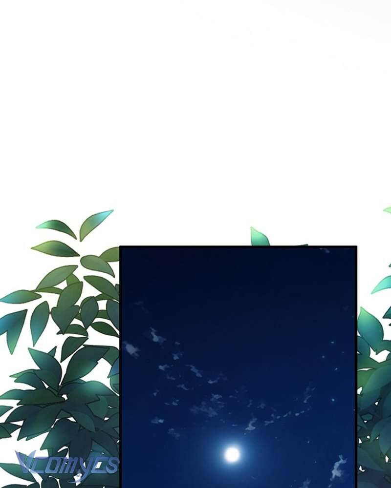 Các Nam Chính Đã Bị Nữ Phụ Cướp Mất Chap 50 - Next Chap 51