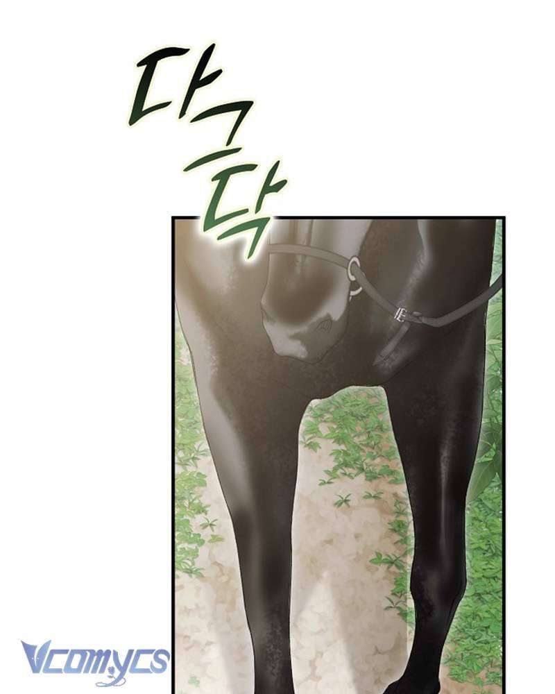 Các Nam Chính Đã Bị Nữ Phụ Cướp Mất Chap 59 - Next Chap 60