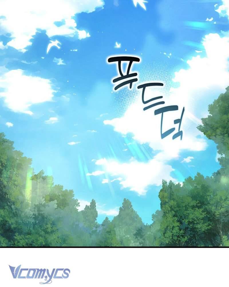 Các Nam Chính Đã Bị Nữ Phụ Cướp Mất Chap 59 - Next Chap 60