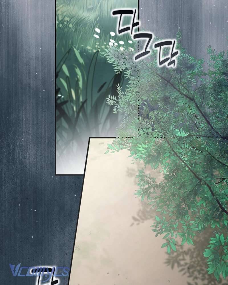 Các Nam Chính Đã Bị Nữ Phụ Cướp Mất Chap 59 - Next Chap 60