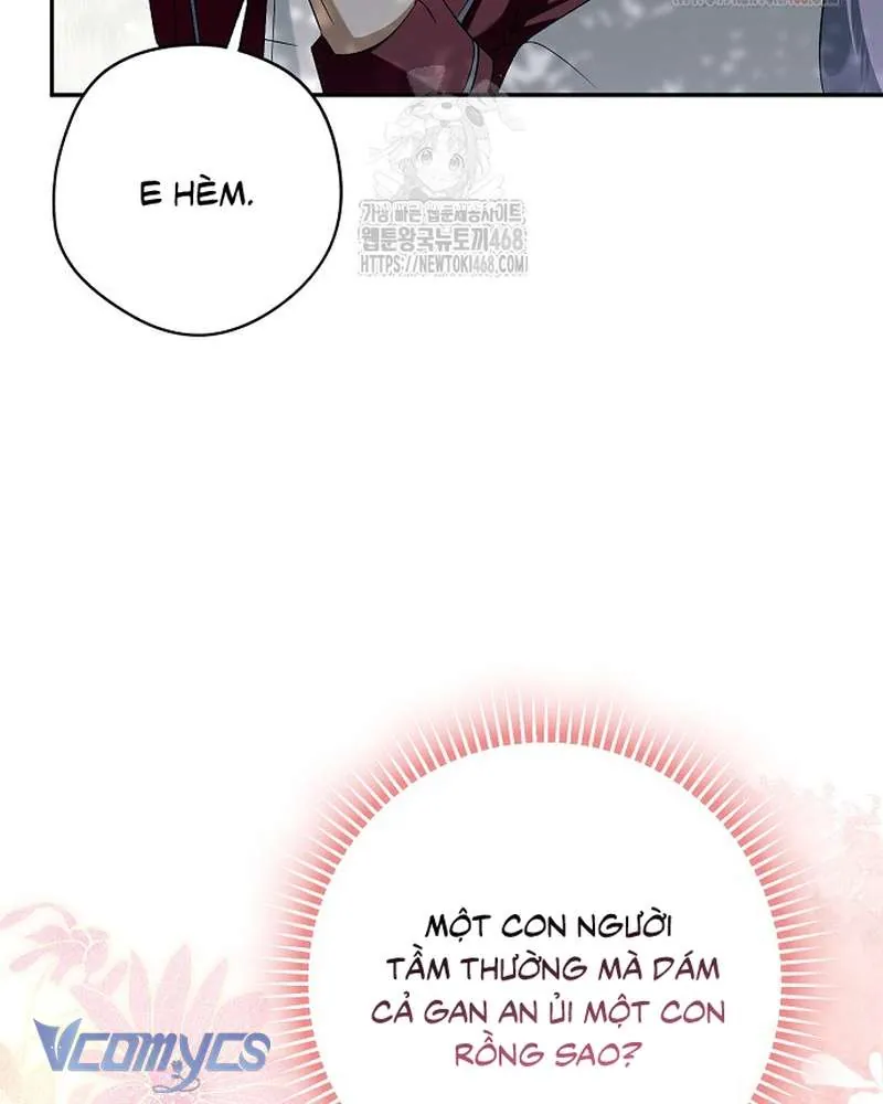 Các Nam Chính Đã Bị Nữ Phụ Cướp Mất Chap 62 - Next Chap 63