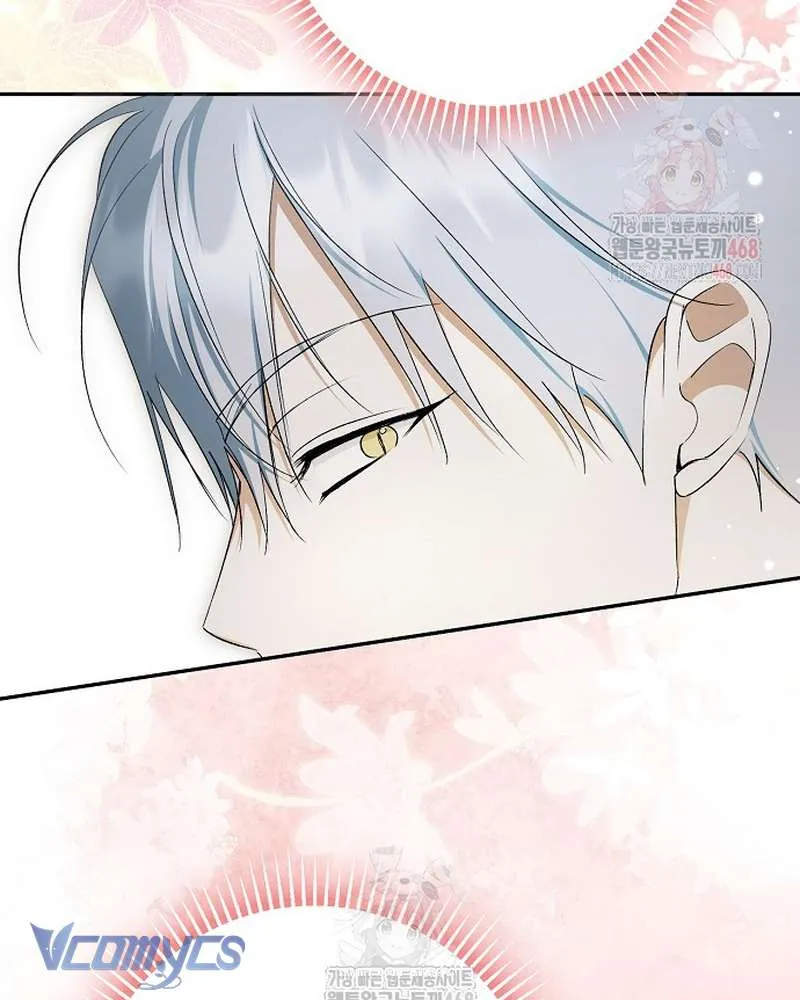 Các Nam Chính Đã Bị Nữ Phụ Cướp Mất Chap 62 - Next Chap 63