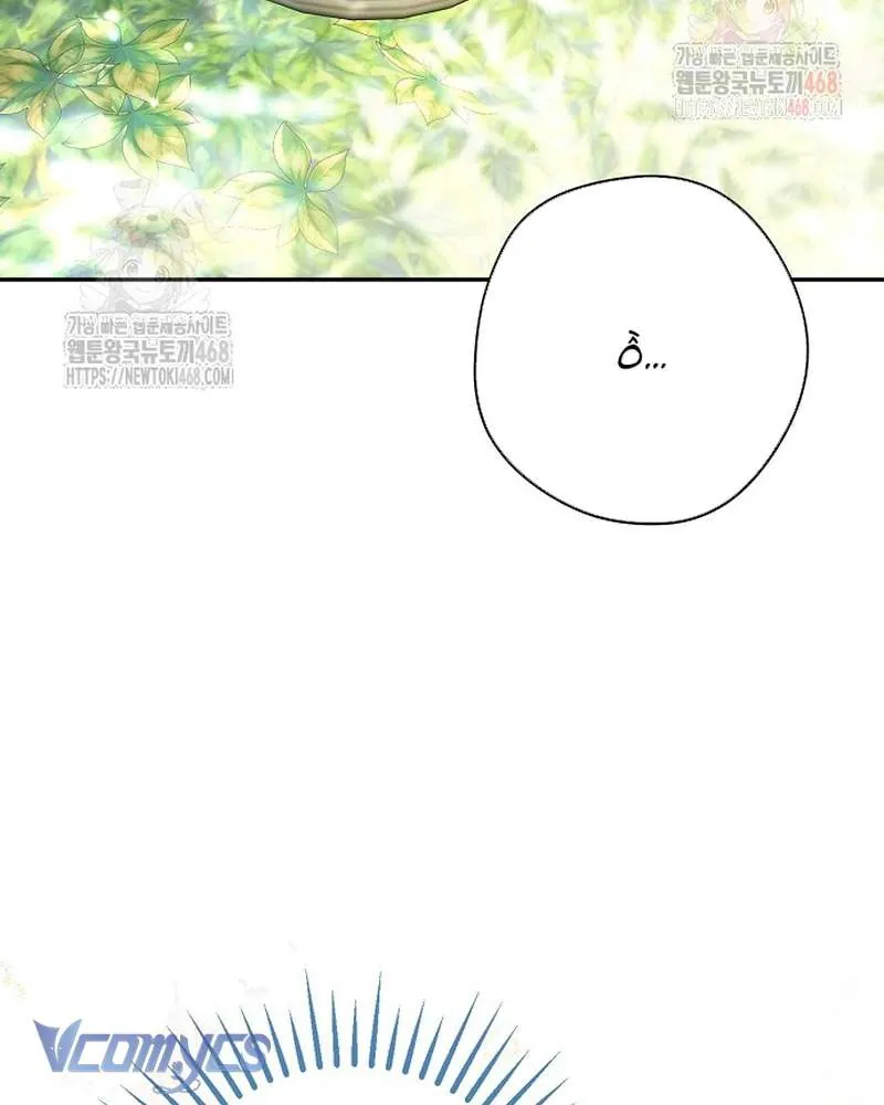 Các Nam Chính Đã Bị Nữ Phụ Cướp Mất Chap 62 - Next Chap 63