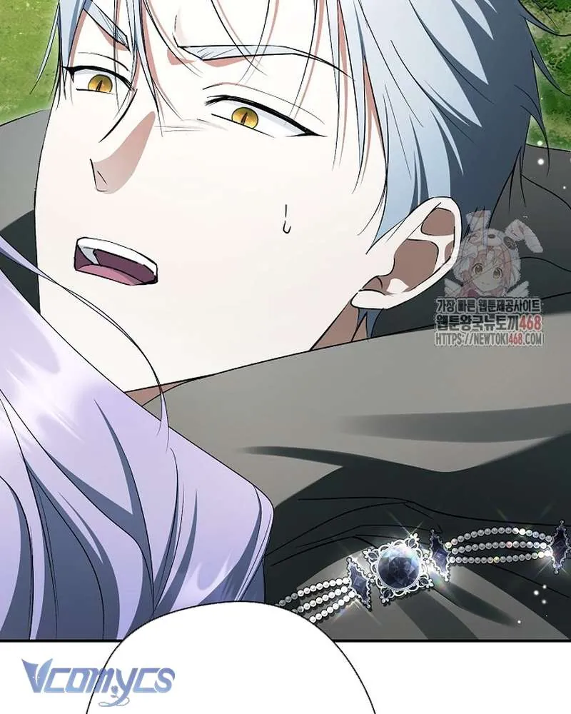 Các Nam Chính Đã Bị Nữ Phụ Cướp Mất Chap 62 - Next Chap 63