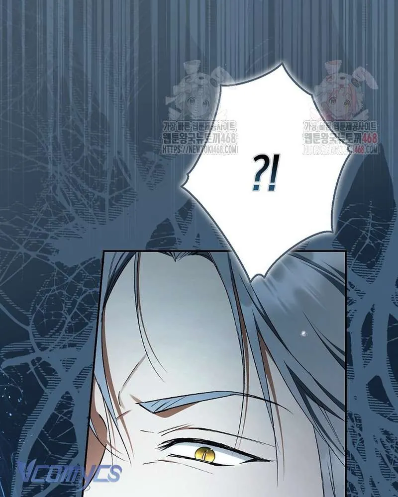 Các Nam Chính Đã Bị Nữ Phụ Cướp Mất Chap 62 - Next Chap 63