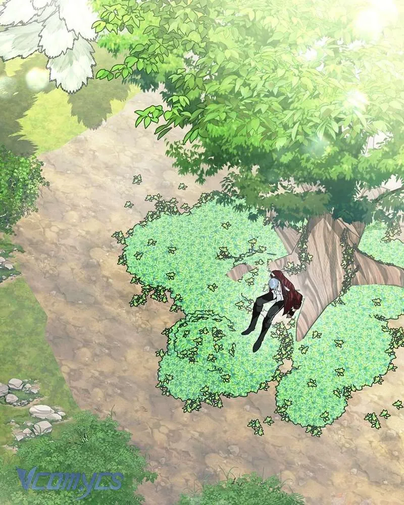 Các Nam Chính Đã Bị Nữ Phụ Cướp Mất Chap 62 - Next Chap 63