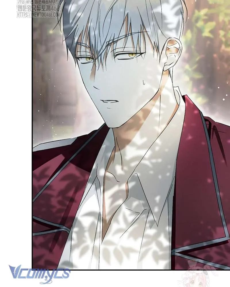 Các Nam Chính Đã Bị Nữ Phụ Cướp Mất Chap 62 - Next Chap 63