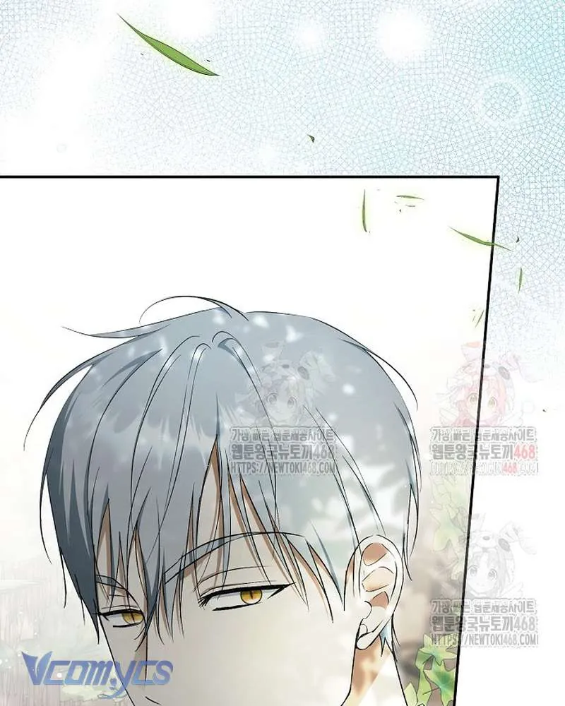 Các Nam Chính Đã Bị Nữ Phụ Cướp Mất Chap 62 - Next Chap 63