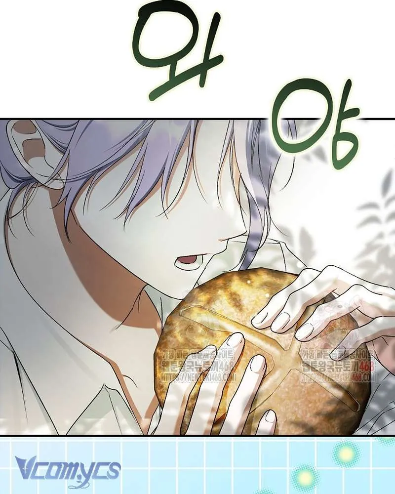 Các Nam Chính Đã Bị Nữ Phụ Cướp Mất Chap 62 - Next Chap 63