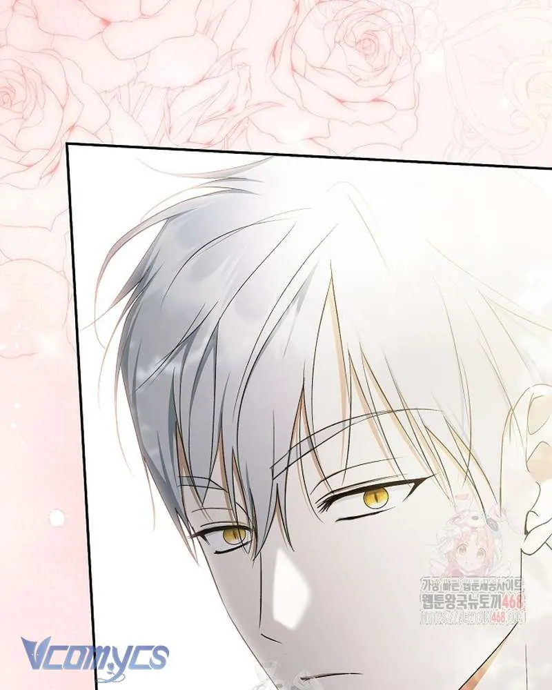 Các Nam Chính Đã Bị Nữ Phụ Cướp Mất Chap 62 - Next Chap 63