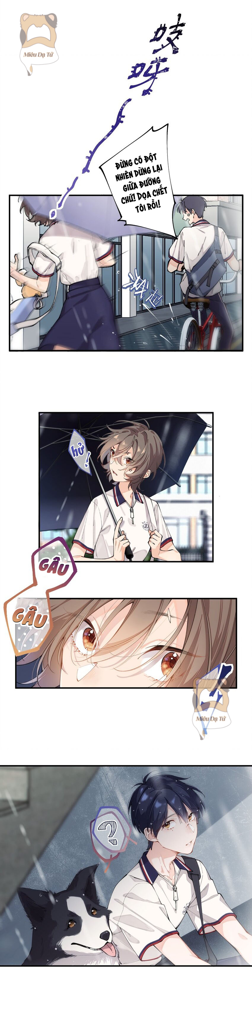 Cậu là ẩn số của tớ Chap 1 - Next Chap 2