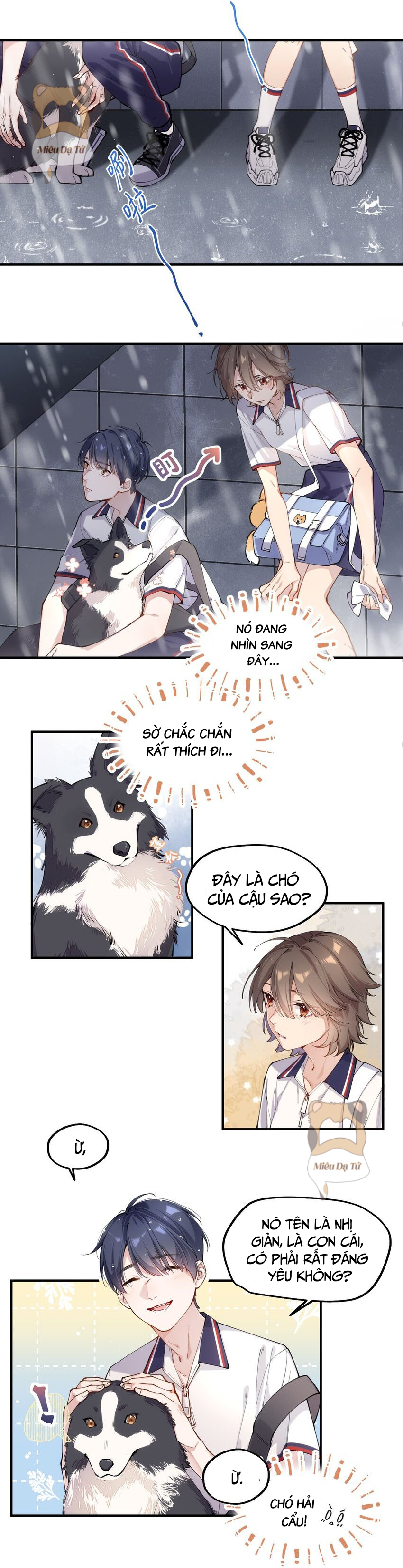 Cậu là ẩn số của tớ Chap 1 - Next Chap 2