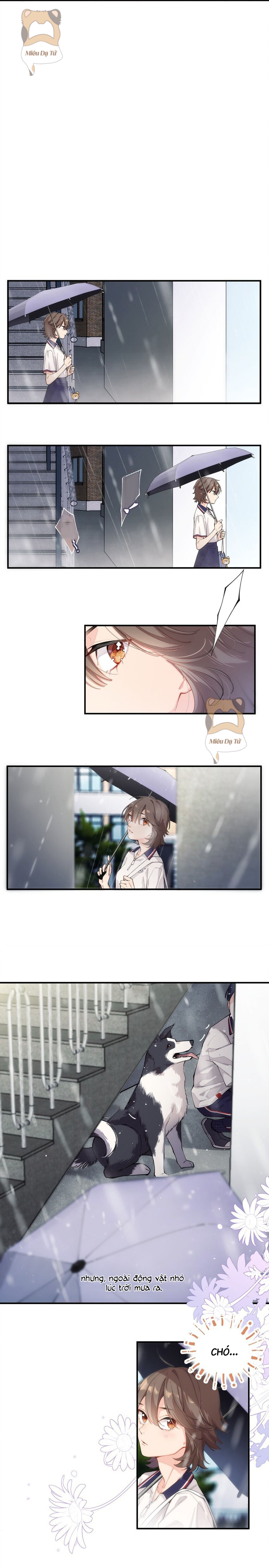 Cậu là ẩn số của tớ Chap 1 - Next Chap 2