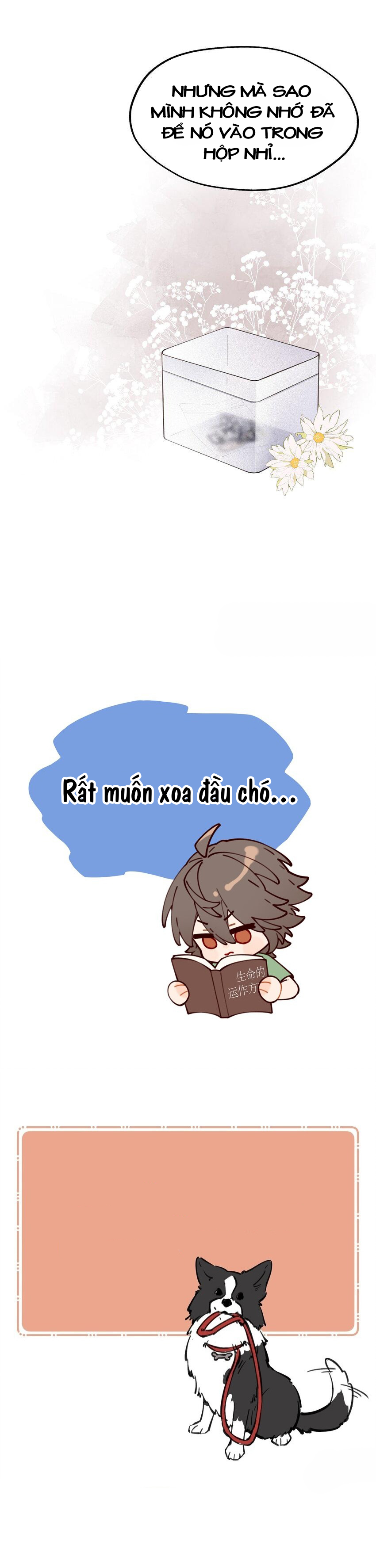 Cậu là ẩn số của tớ Chap 3 - Next Chap 4
