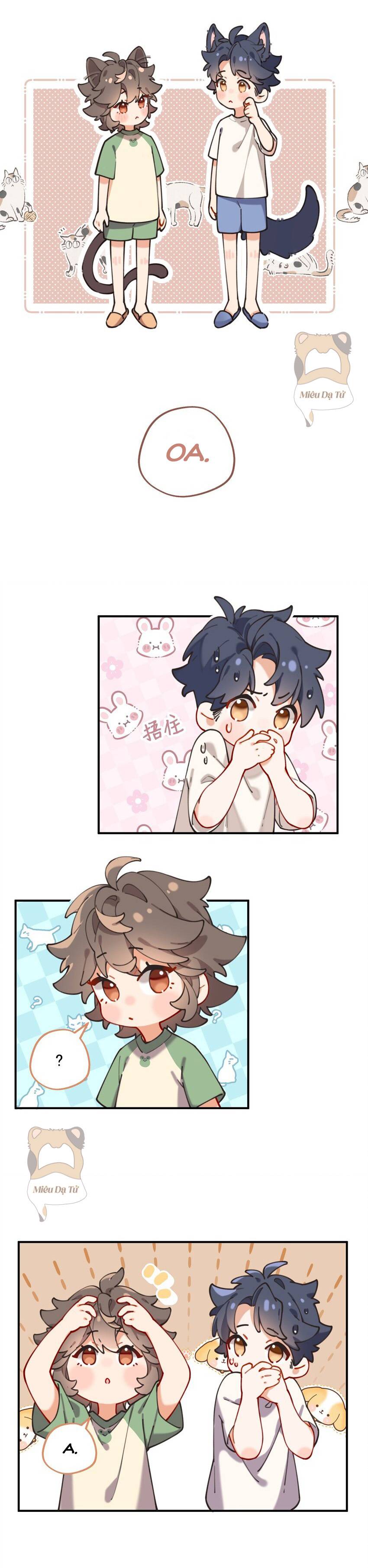 Cậu là ẩn số của tớ Chap 5 - Next Chap 6