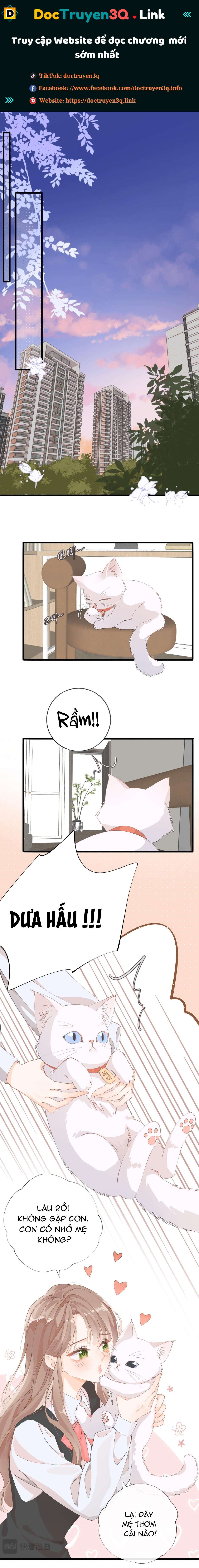 Chị Lại Gặp Rắc Rối Nữa Rồi Chap 2 - Next Chap 3