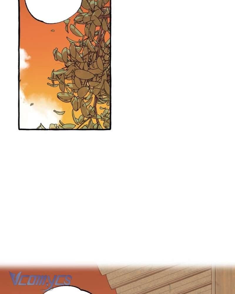 Chuyện Tình Hoa Lưu Ly Chap 2 - Next Chap 3