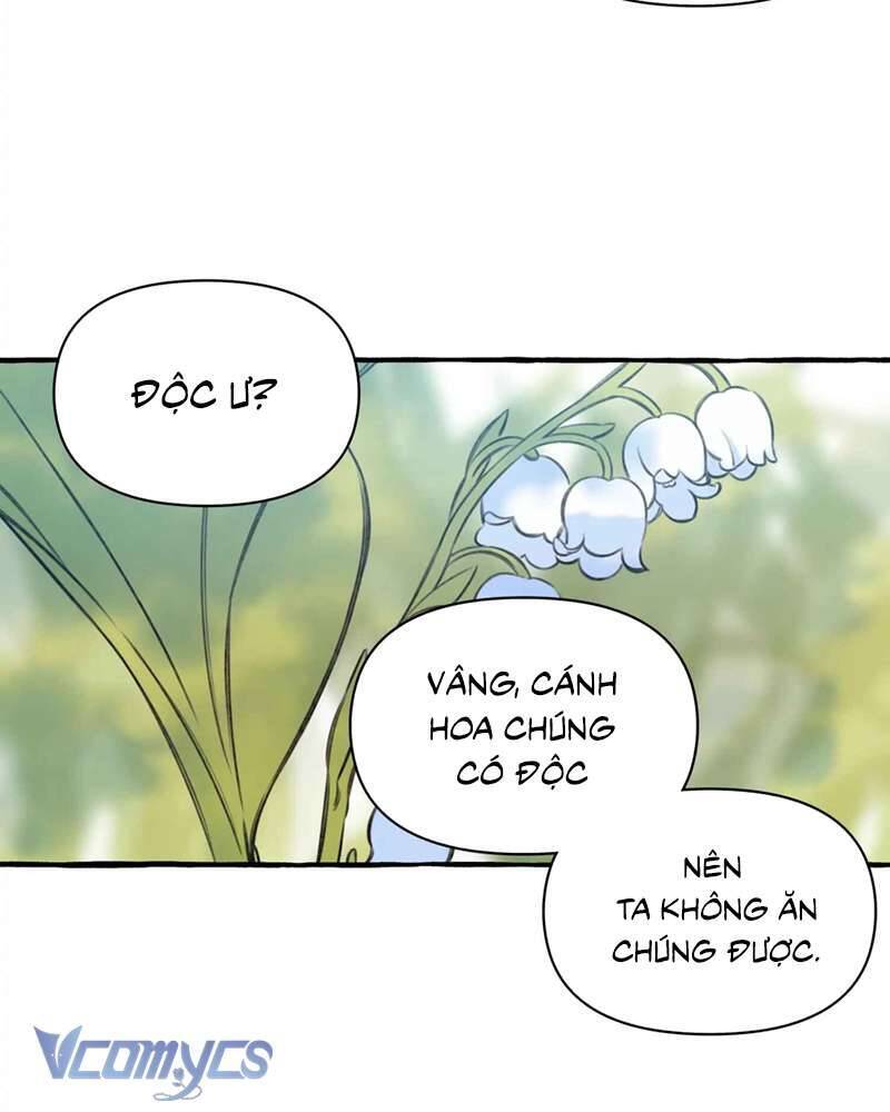 Chuyện Tình Hoa Lưu Ly Chap 4 - Next Chap 5