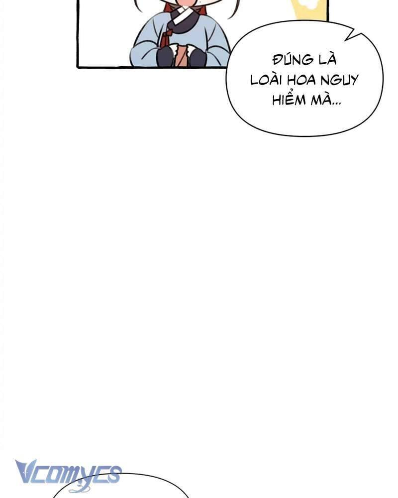 Chuyện Tình Hoa Lưu Ly Chap 4 - Next Chap 5