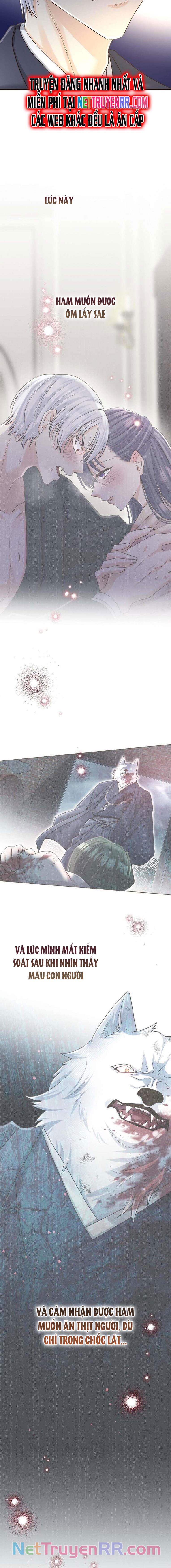 Cô Dâu Của Sói Trắng Chap 55 - Next Chap 56