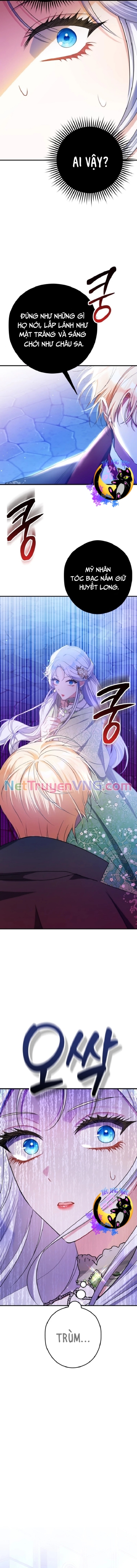 Công Nương Sinh Ra Để Sống Một Mình Chap 20 - Next Chap 21